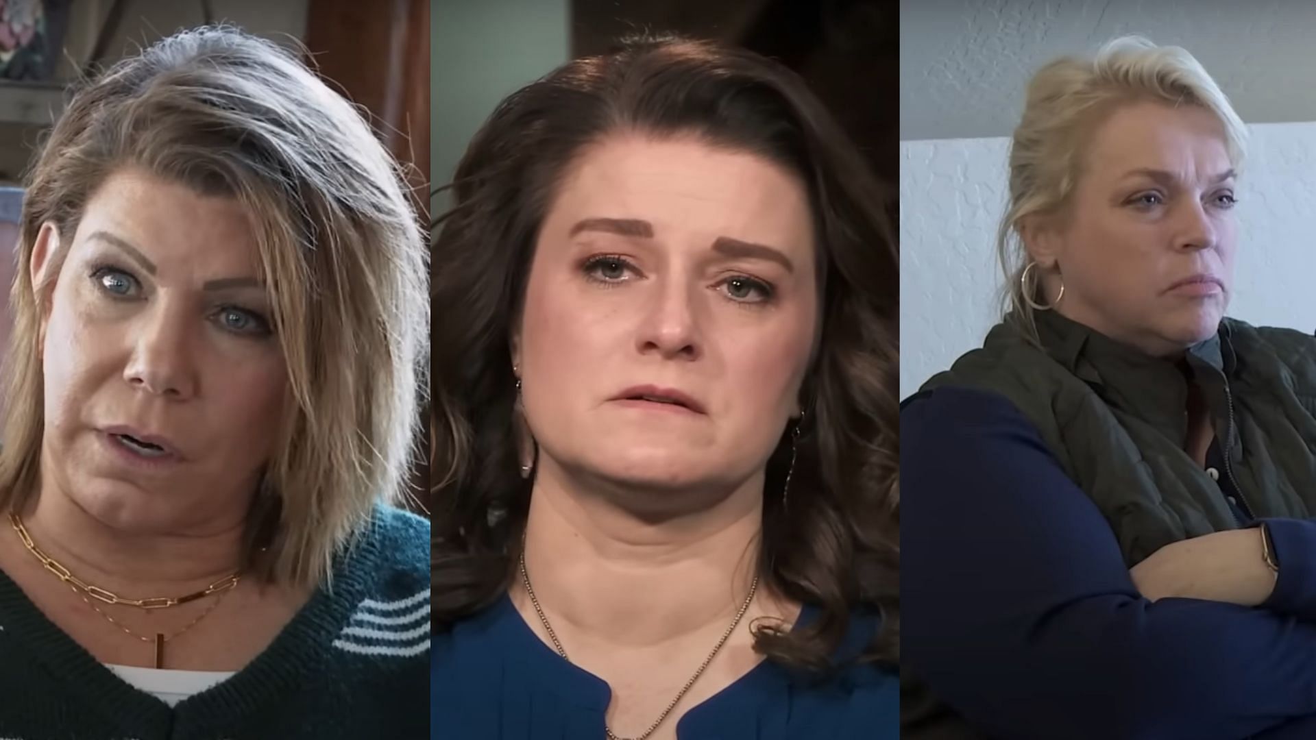 The OG wives don't want anything to do with Robyn (Image via YouTube/TLC)